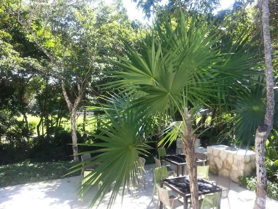 Apartment Luxury Modern Bahia Principe Condo
