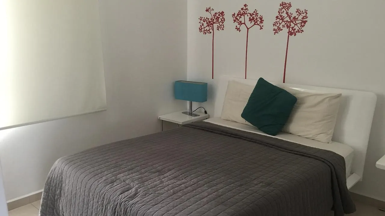 Luxury Modern Bahia Principe Condo