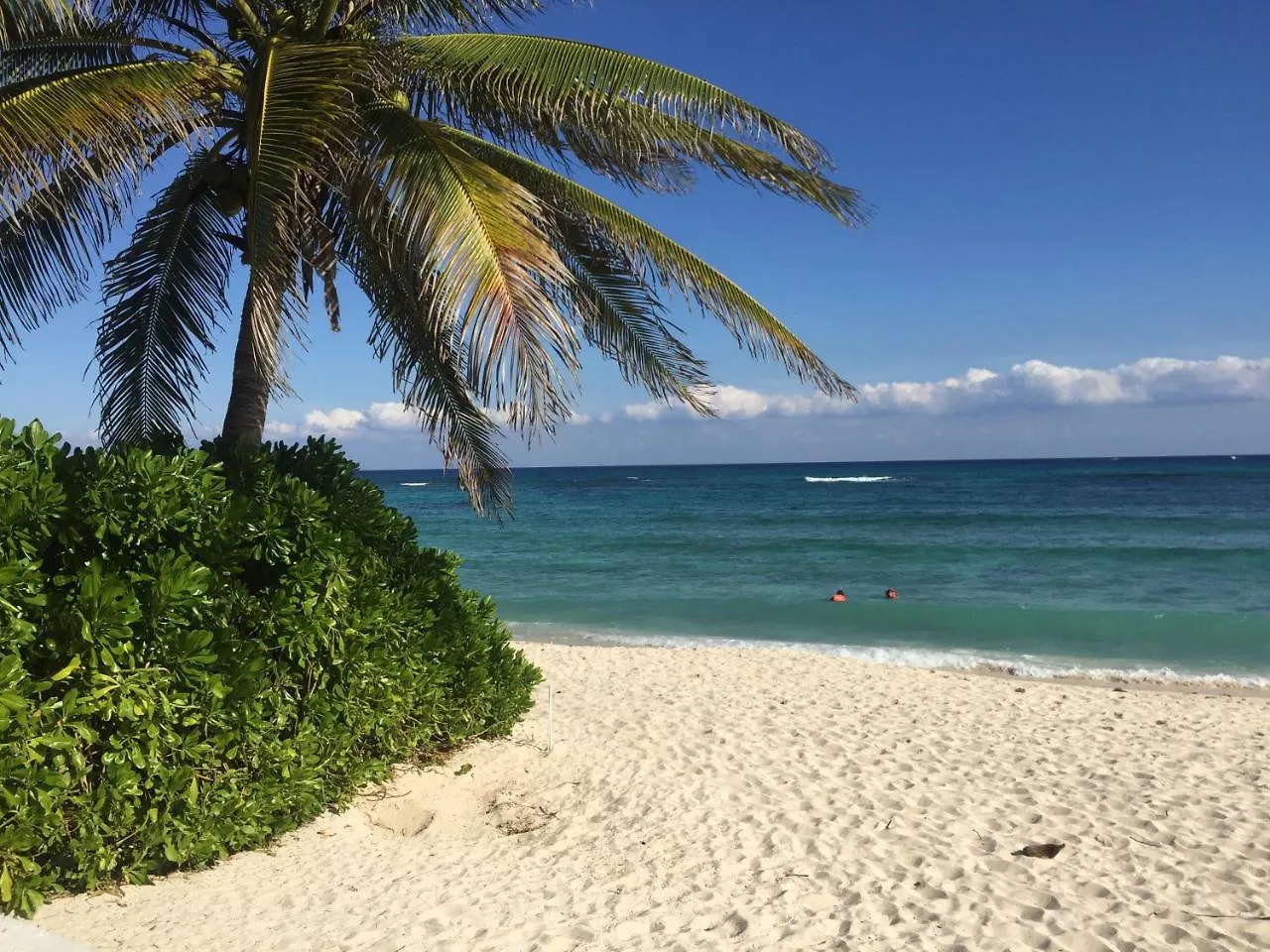 Luxury Modern Bahia Principe Condo Apartment